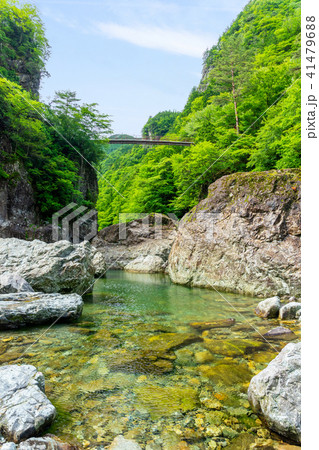 御手洗渓谷 41479688