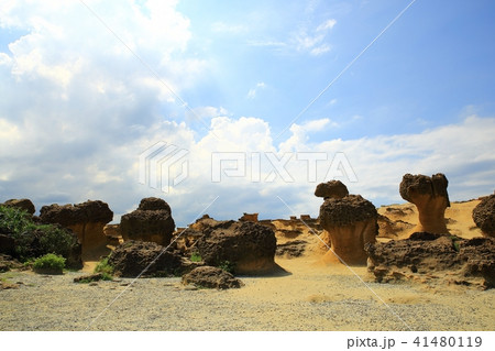台湾の 観光地 ガーデン 41480119