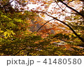 紅葉の日光 41480580