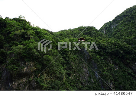 木 岩 石 41480647