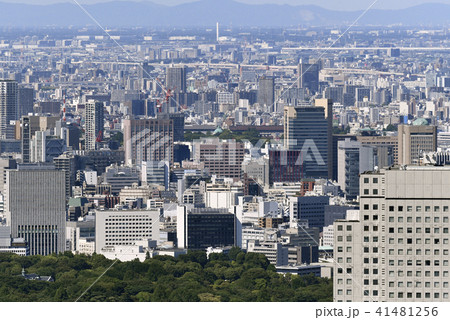 日本の東京都市景観 順天堂大学など、街並みを望む 日本の東京都市景観 順天堂大学など、街並みを望む 41481256