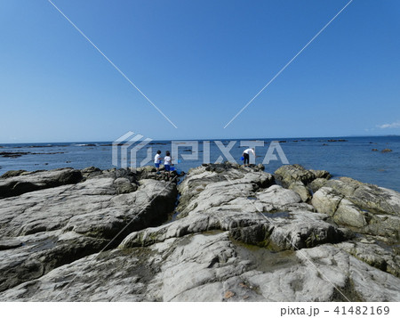 千葉の海で磯遊びをする親子 千葉の海で磯遊びをする親子 41482169
