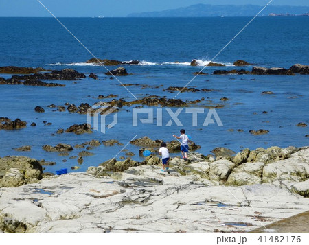 千葉の海で磯遊びをする兄弟の写真素材
