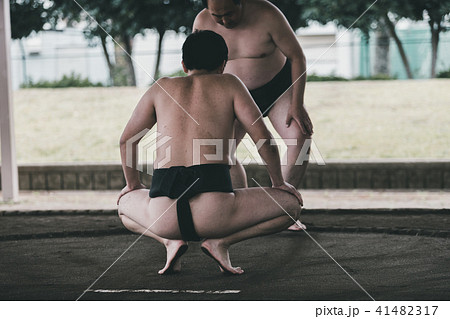 Sumo wrestling Sumo wrestling 41482317