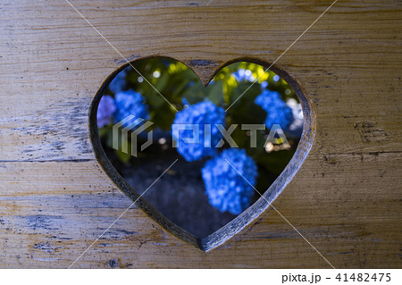 梅雨の楊谷寺 41482475