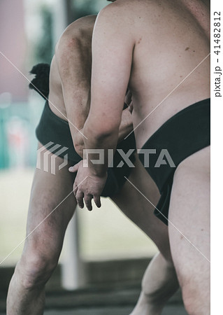 Sumo wrestling Sumo wrestling 41482812