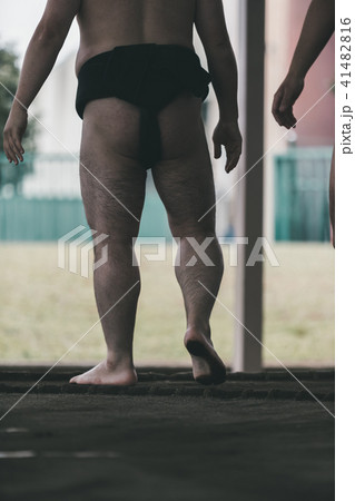 Sumo wrestling 41482816