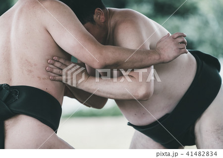 Sumo wrestling 41482834