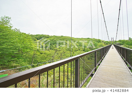 那須高原 ツツジ吊橋の写真素材 4144