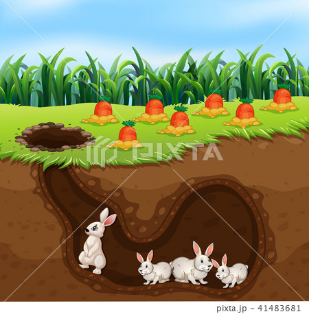 A Rabbit Family Living in Hole A Rabbit Family Living in Hole 41483681
