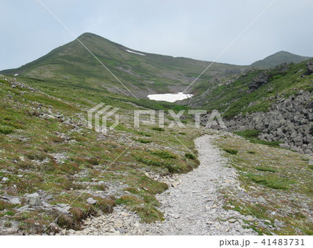 トムラウシ 山頂への道 初夏 トムラウシ 山頂への道 初夏 41483731
