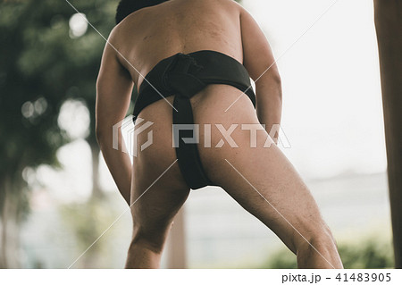 Sumo wrestling Sumo wrestling 41483905