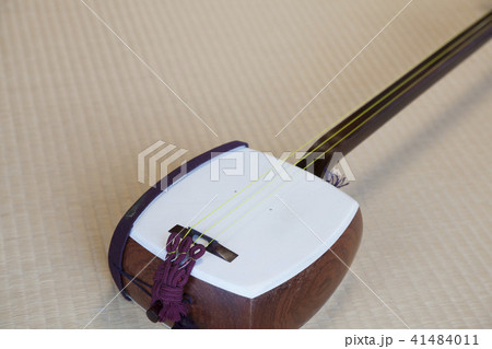 三味線 41484011
