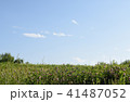 土手 41487052