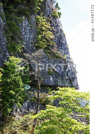 大峰 釈迦ヶ岳 都津門 大峰 釈迦ヶ岳 都津門 41487572
