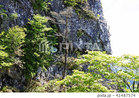 大峰 釈迦ヶ岳 都津門 大峰 釈迦ヶ岳 都津門 41487574