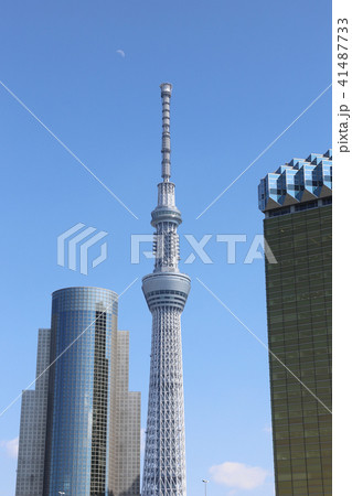東京スカイツリー 東京スカイツリー 41487733
