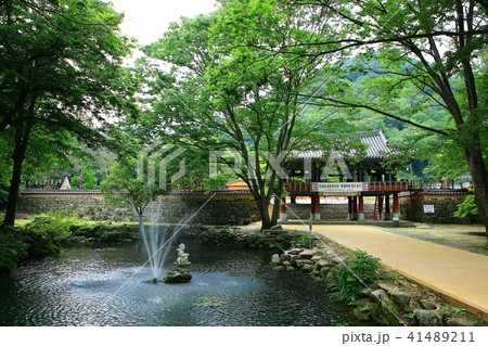 観光地 内蔵寺 池 41489211