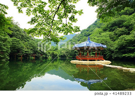 楼閣 内蔵寺 トップ 41489233