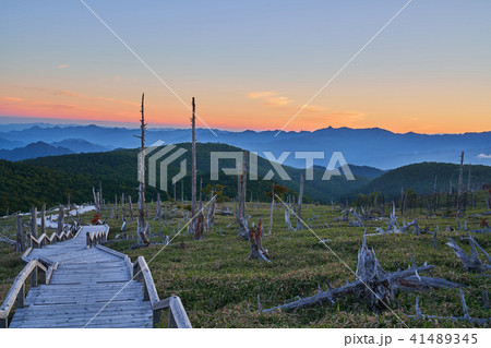 大台ケ原 大台ケ原 41489345