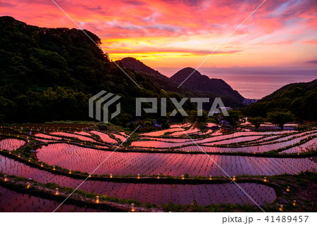 【静岡県伊豆松崎町】石部棚田、石部の灯り、キャンドルナイトイベント 41489457