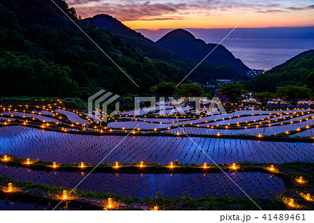 【静岡県伊豆松崎町】石部棚田、石部の灯り、キャンドルナイトイベント 41489461