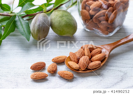 アーモンド　未熟果 41490252