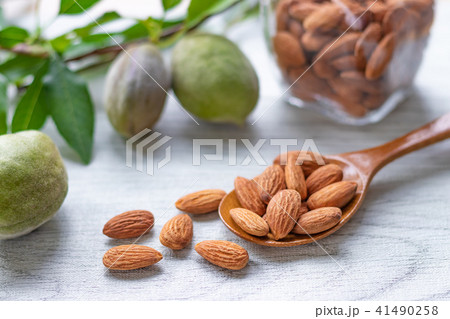 アーモンド　未熟果 41490258