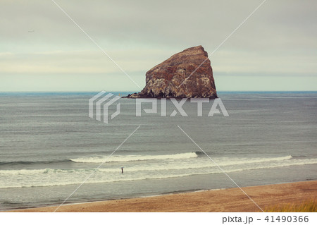Coast in Oregon Coast in Oregon 41490366