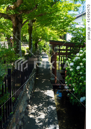 岐阜県の観光地郡上八幡の観光名所いがわこみちの風景の写真素材