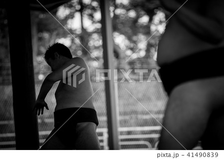 Sumo wrestling Sumo wrestling 41490839