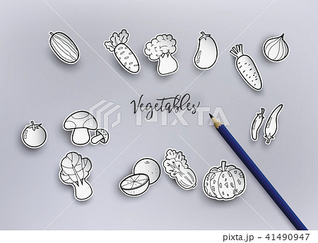 freehand drawing vegetables. freehand drawing vegetables. 41490947