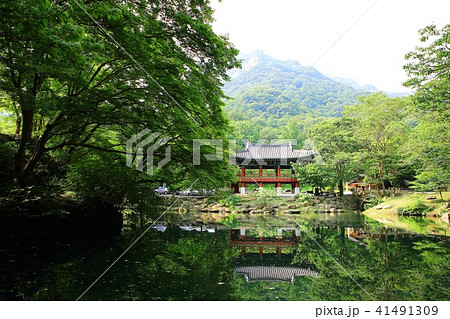 白羊寺 楼閣 池 41491309