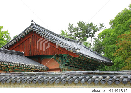 韓屋 観光地 木 41491315