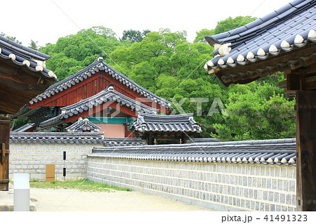 韓屋 木 精子 41491323