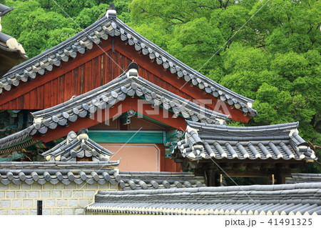 韓屋 観光地 木 41491325