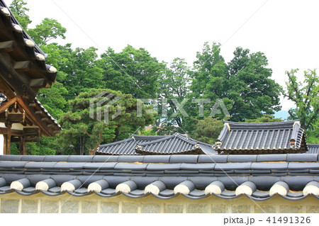 韓屋 木 精子 41491326