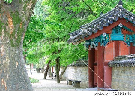 韓屋 木 精子 41491340