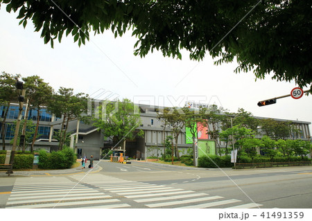 観光地 韓屋村 市街地 41491359