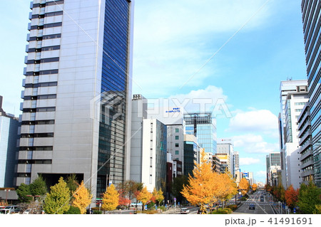 名古屋市　都市風景　桜通の風景 41491691