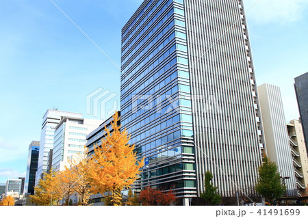 名古屋市　都市風景　桜通の風景 41491699