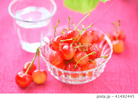 さくらんぼ 桜桃 サクランボ チェリー フルーツ 初夏の果物イメージ の写真素材