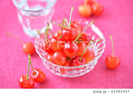 さくらんぼ 桜桃 サクランボ チェリー フルーツ 初夏の果物イメージ の写真素材