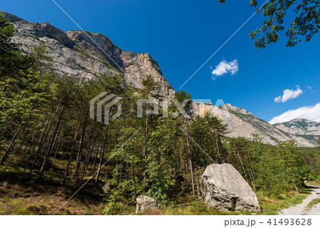 Forest and Mountains Sarca Valley - Trentino Italy 41493628