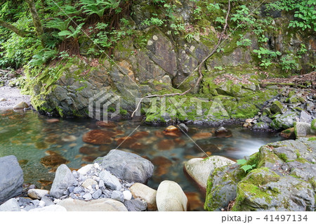 烏川渓谷上流部 安曇野市 烏川渓谷上流部 安曇野市 41497134