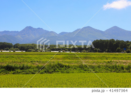 八ヶ岳中央高原 原村 八ヶ岳中央高原 原村 41497364