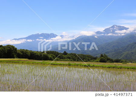 富士見高原と甲斐駒ケ岳　富士見町 41497371
