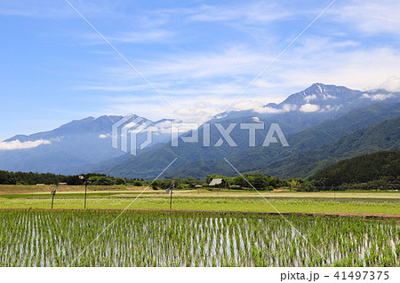富士見高原と甲斐駒ケ岳 富士見町 富士見高原と甲斐駒ケ岳 富士見町 41497375