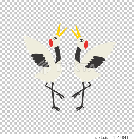 丹頂鶴の求愛 41498411