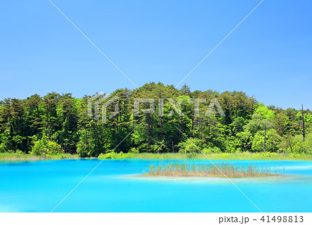 裏磐梯五色沼 裏磐梯五色沼 41498813